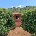 Private , 5 Min Drive From The *