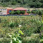 Private , 5 Min Drive From The Villa *