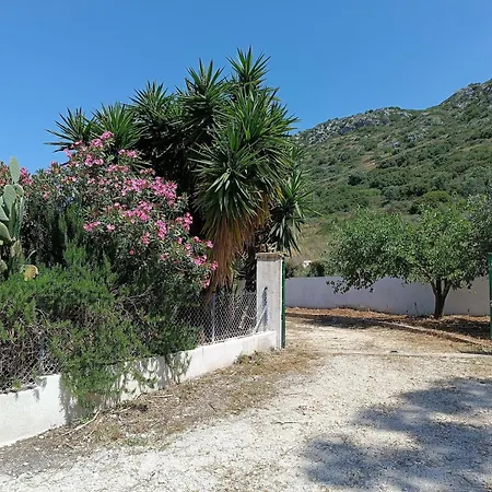 Private , 5 Min Drive From The Minia