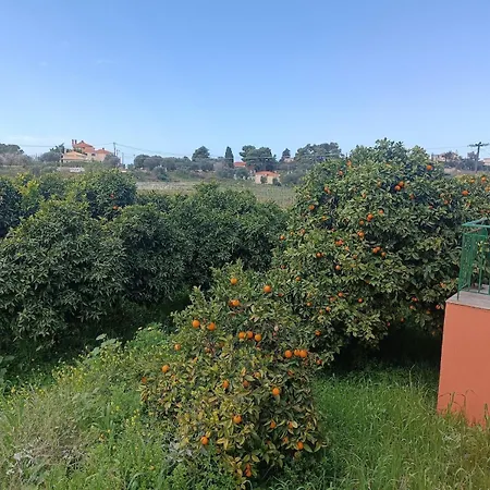 Private , 5 Min Drive From The Villa